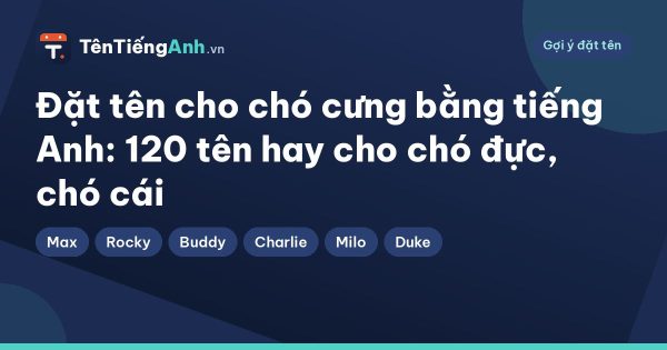 Đặt tên cho chó cưng bằng tiếng Anh: 120 tên hay cho chó đực, chó cái