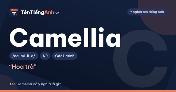 Tên Camellia có ý nghĩa là gì? Camellia là hoa gì?