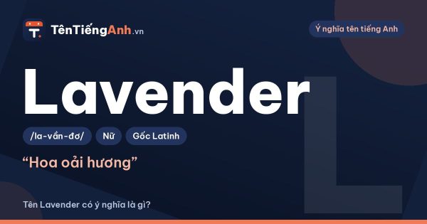 Tên Lavender có ý nghĩa là gì? Ý nghĩa hoa oải hương và cách dùng