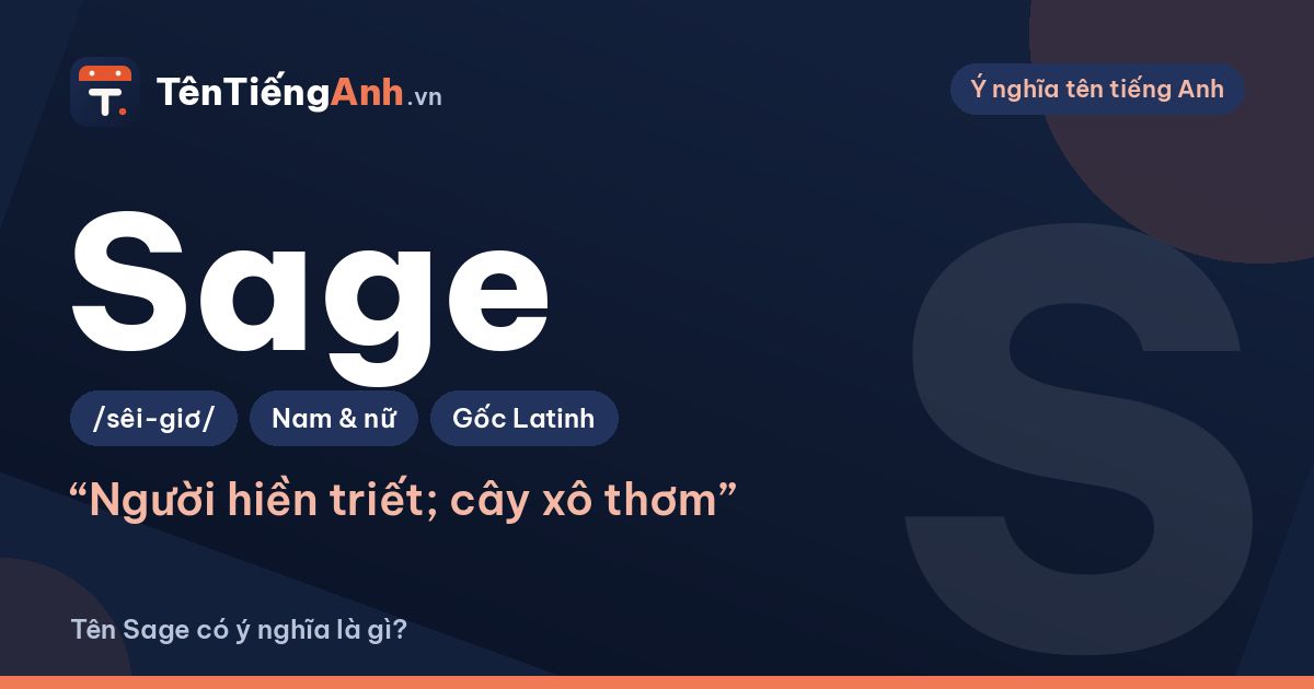 Sage là gì? Ý nghĩa tên Sage, màu sage và cách dùng làm tên
