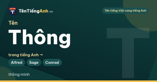 Tên Thông trong tiếng Anh là gì? Ý nghĩa tên Thông và 12 tên tiếng Anh mang nghĩa thông minh