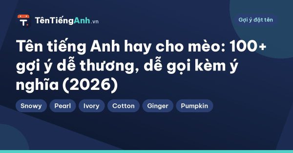 Tên tiếng Anh hay cho mèo: 100+ gợi ý dễ thương, dễ gọi kèm ý nghĩa (2026)