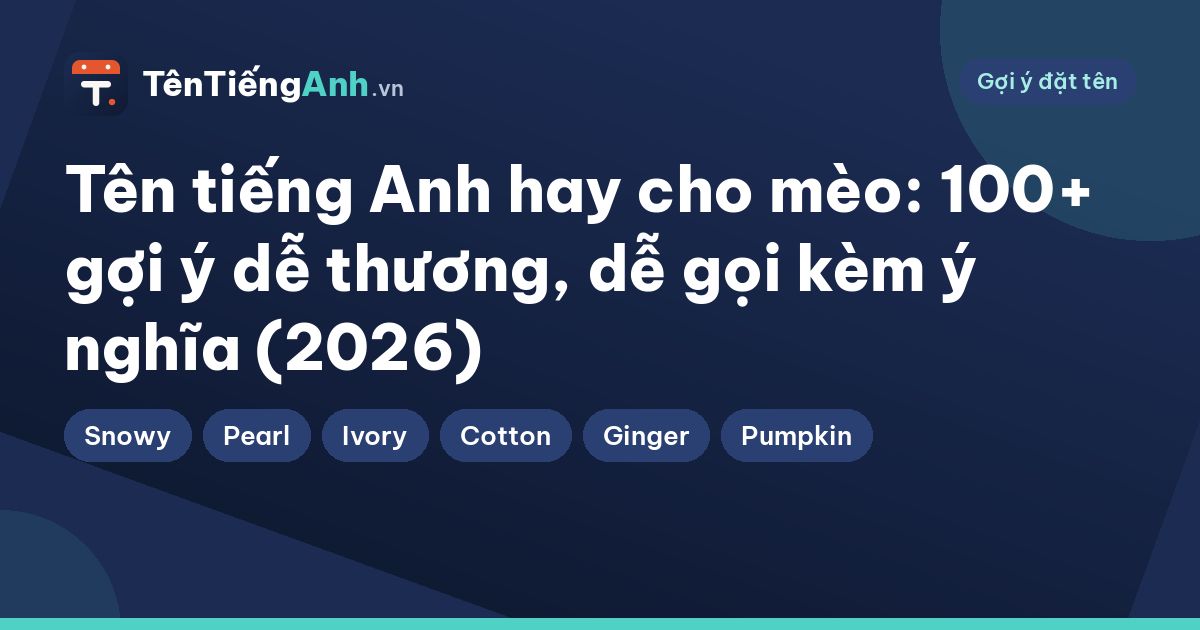 Tên tiếng Anh hay cho mèo: 100+ gợi ý dễ thương, dễ gọi kèm ý nghĩa (2026)