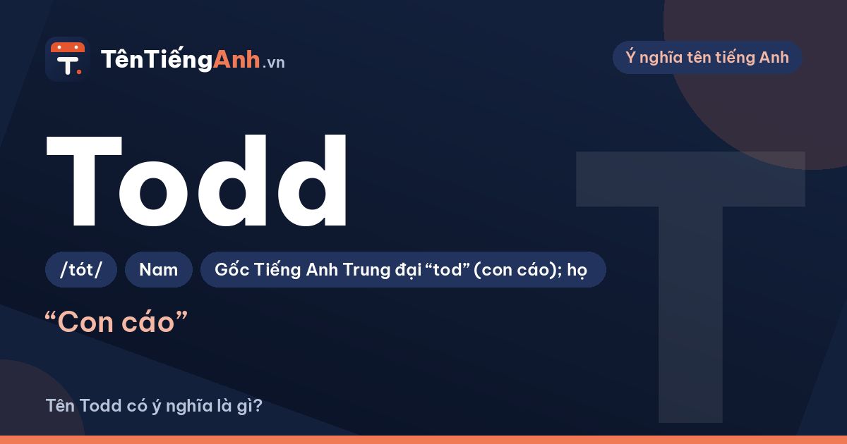 Tên Todd có ý nghĩa là gì? Nguồn gốc, cách đọc và cách dùng
